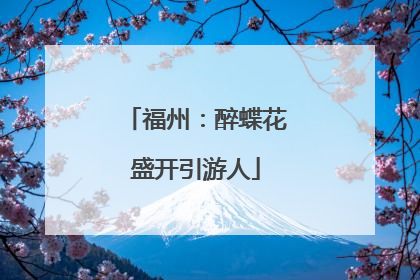 福州：醉蝶花盛开引游人