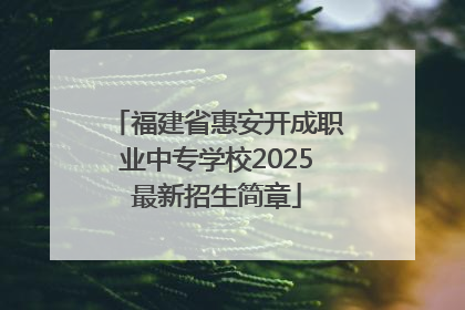 福建省惠安开成职业中专学校2025最新招生简章