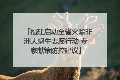 福建启动全省灭除非洲大蜗牛志愿行动 专家献策防控建议