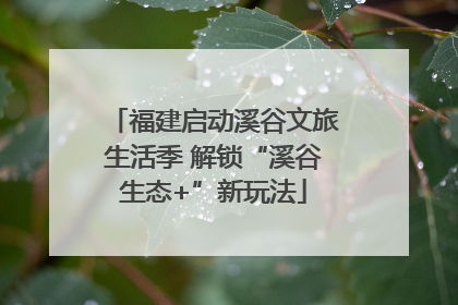福建启动溪谷文旅生活季 解锁“溪谷生态+”新玩法