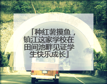 种红薯摸鱼，镇江这家学校在田间池畔见证学生快乐成长