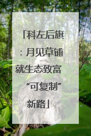 科左后旗：月见草铺就生态致富“可复制”新路