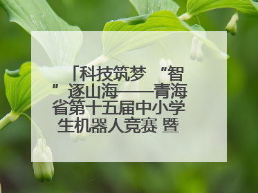科技筑梦 “智”逐山海——青海省第十五届中小学生机器人竞赛 暨第八届创新设计大赛见闻