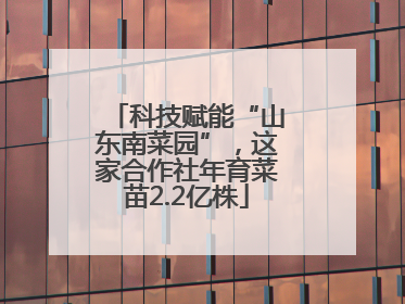 科技赋能“山东南菜园”，这家合作社年育菜苗2.2亿株