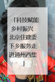 科技赋能乡村振兴 北京住建委下乡服务走进通州西集