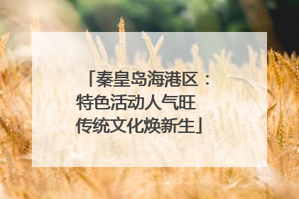 秦皇岛海港区：特色活动人气旺 传统文化焕新生