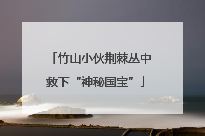 竹山小伙荆棘丛中救下“神秘国宝”