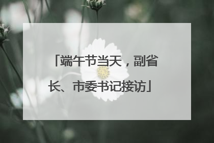 端午节当天，副省长、市委书记接访