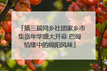 第三届同乡社团家乡市集嘉年华盛大开幕 巴蜀情缘中的绵阳风味
