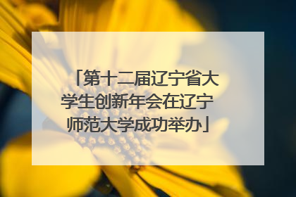 第十二届辽宁省大学生创新年会在辽宁师范大学成功举办