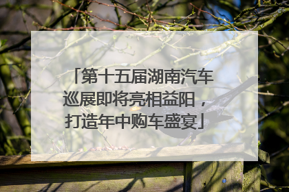 第十五届湖南汽车巡展即将亮相益阳，打造年中购车盛宴