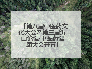 第八届中医药文化大会暨第三届沂山论健·中医药健康大会开幕