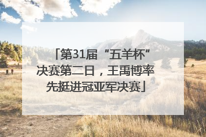 第31届“五羊杯”决赛第二日，王禹博率先挺进冠亚军决赛