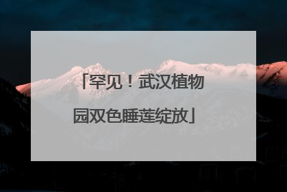 罕见！武汉植物园双色睡莲绽放