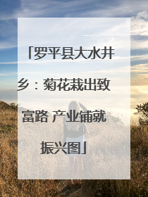 罗平县大水井乡：菊花栽出致富路 产业铺就振兴图