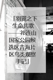 羽翼之下 生命共歌——祁连山国家公园候选区青海片区鸟类观察手记
