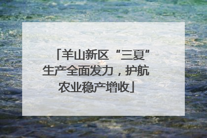 羊山新区“三夏”生产全面发力，护航农业稳产增收