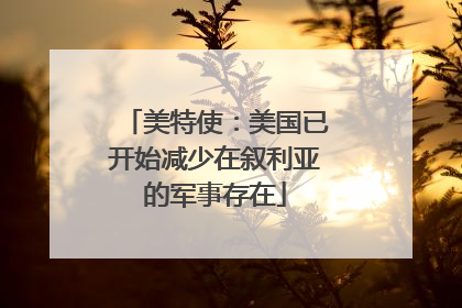 美特使：美国已开始减少在叙利亚的军事存在