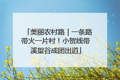 美丽农村路｜一条路带火一片村！小贺线带溪望谷成团出道