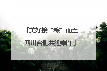 美好接“粽”而至 四川台胞共迎端午