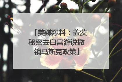 美媒爆料：盖茨秘密去白宫游说撤销马斯克政策