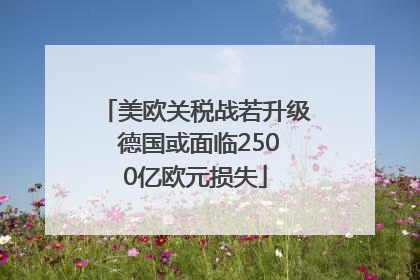 美欧关税战若升级 德国或面临2500亿欧元损失