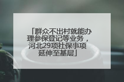 群众不出村就能办理参保登记等业务，河北29项社保事项延伸至基层