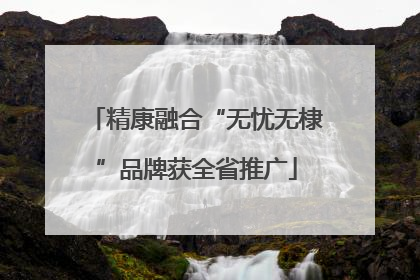 精康融合“无忧无棣”品牌获全省推广