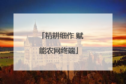 精耕细作 赋能农网终端
