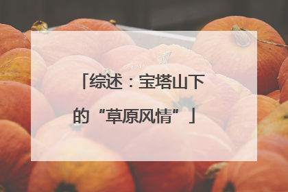综述：宝塔山下的“草原风情”
