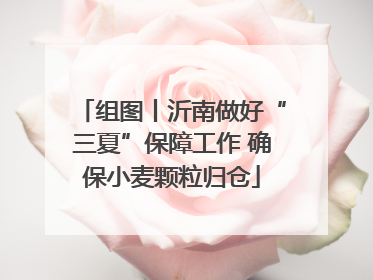 组图丨沂南做好“三夏”保障工作 确保小麦颗粒归仓