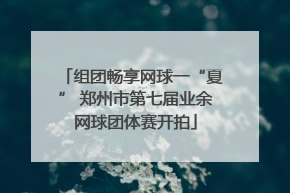 组团畅享网球一“夏” 郑州市第七届业余网球团体赛开拍
