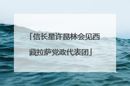 信长星许昆林会见西藏拉萨党政代表团
