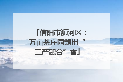 信阳市浉河区：万亩茶庄园飘出“三产融合”香