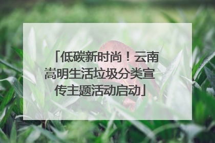 低碳新时尚！云南嵩明生活垃圾分类宣传主题活动启动