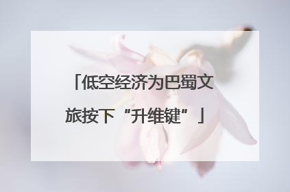 低空经济为巴蜀文旅按下“升维键”