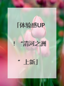 体验感UP！“清河之洲”上新