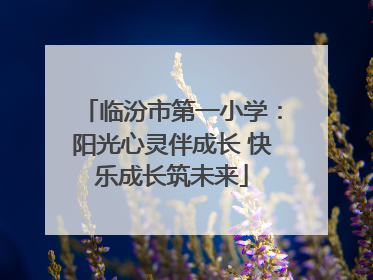 临汾市第一小学：阳光心灵伴成长 快乐成长筑未来