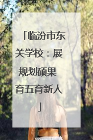 临汾市东关学校：展规划硕果 育五育新人
