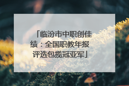 临汾市中职创佳绩：全国职教年报评选包揽冠亚军