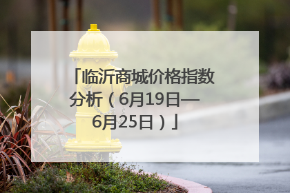 临沂商城价格指数分析（6月19日—6月25日）