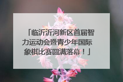 临沂沂河新区首届智力运动会暨青少年国际象棋比赛圆满落幕！