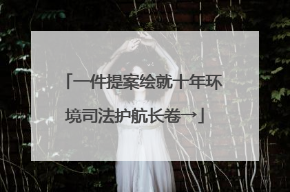一件提案绘就十年环境司法护航长卷→