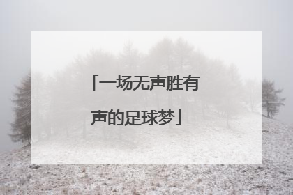 一场无声胜有声的足球梦