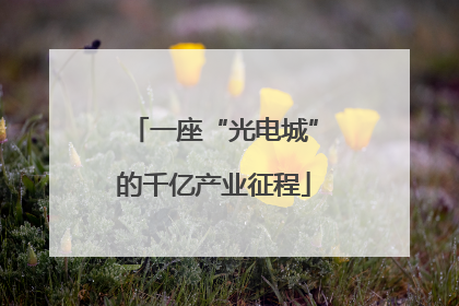 一座“光电城”的千亿产业征程