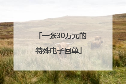 一张30万元的特殊电子回单