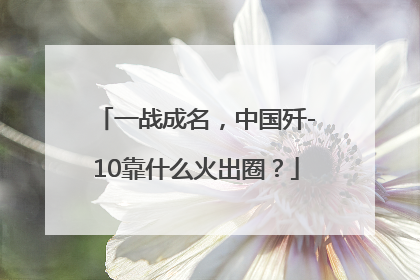一战成名，中国歼-10靠什么火出圈？