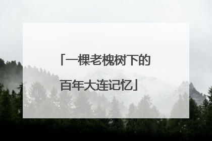 一棵老槐树下的百年大连记忆