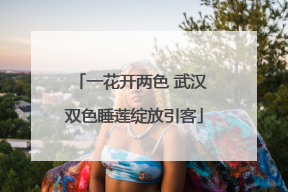 一花开两色 武汉双色睡莲绽放引客