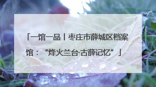 一馆一品丨枣庄市薛城区档案馆：“烽火兰台·古薛记忆”